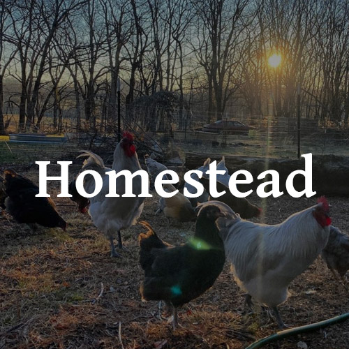 Loam and Arrow - A Homestead Collective